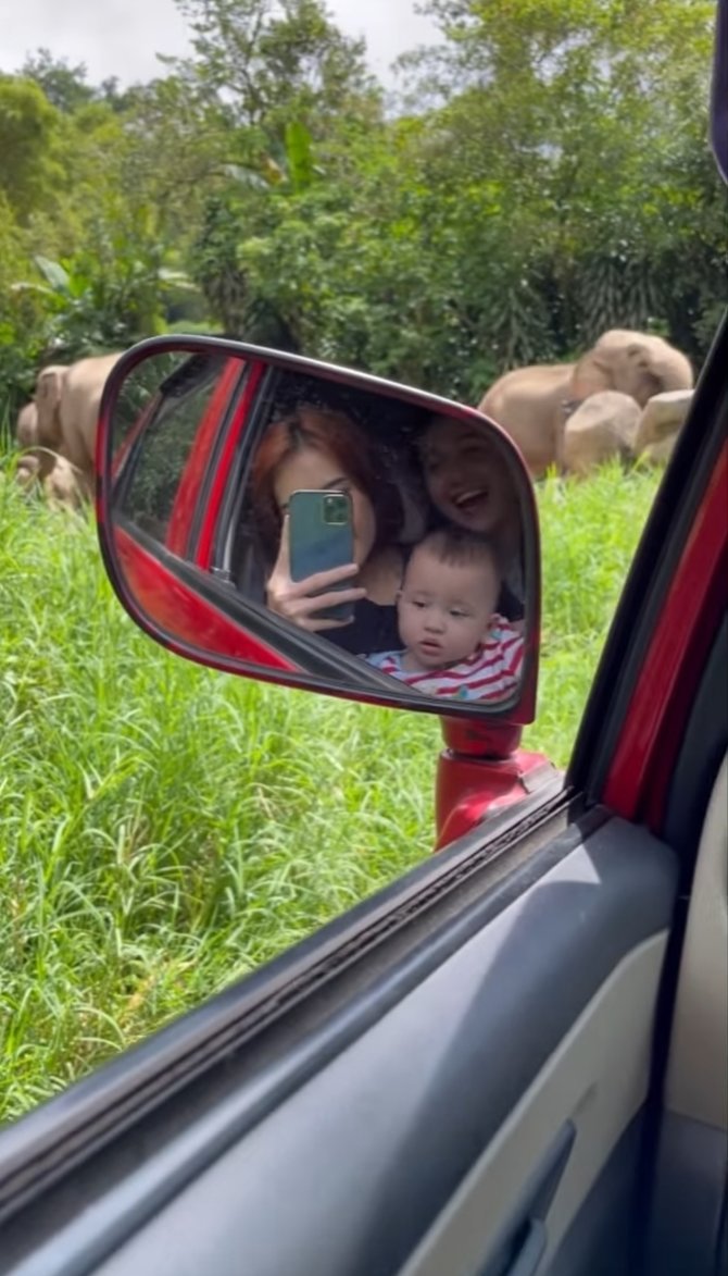 bareng anak ini potret sidik eduard 039pintu berkah039 ke taman safari