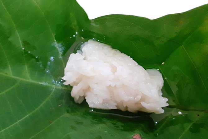 tapai pulut atau tape ketan putih makanan fermentasi