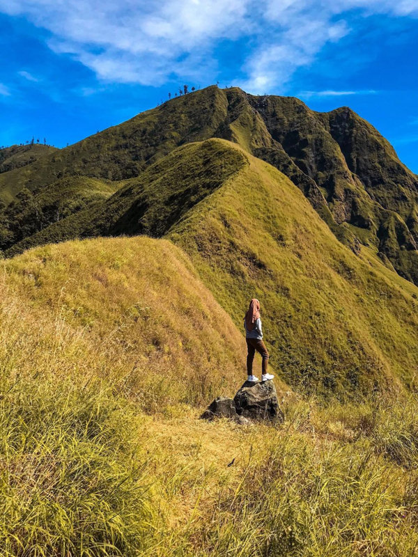 taman wisata pusuk sembalun