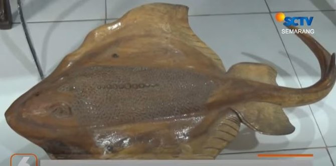 kerajinan tas dan dompet dari kulit ikan pari