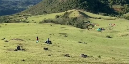 Potret Padang Rumput Indah di Sulawesi, Pemandangannya Mirip Background di Komputer