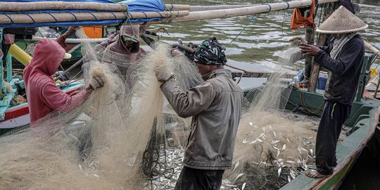 KKP Utamakan Nelayan Kecil dalam Kuota Penangkapan Ikan Terukur