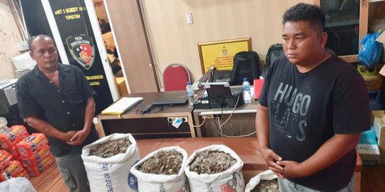 Polisi Tangkap Dua Tersangka Penjualan 150 Kg Sisik Tenggiling