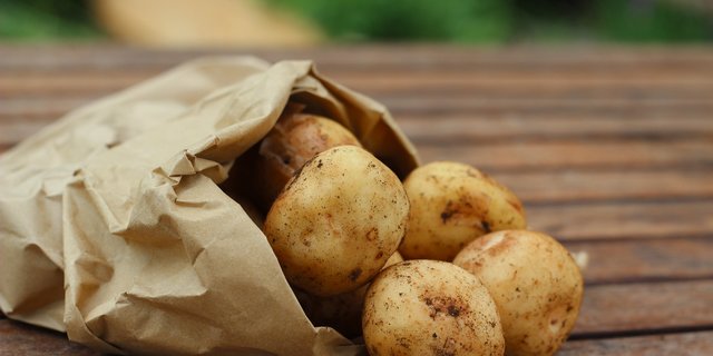 Bahasa ubi kentang arab dalam Kosakata Bahasa