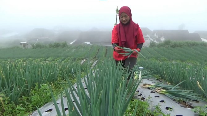 penyanyi jadi petani