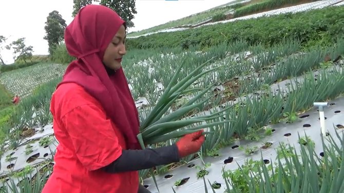 penyanyi jadi petani