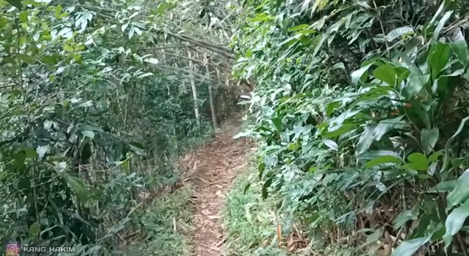 selalu rukun tinggal di tengah hutan istri kiai ini mengaku miliki 17 anak
