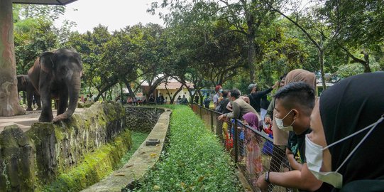 Libur Isra Miraj, Taman Margasatwa Ragunan Ramai Pengunjung