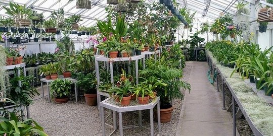 Pemkot Jakarta Timur Galakkan Urban Farming di Jakarta