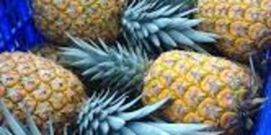 Intip Potensi Ekonomi Nanas Pasir Kelud, Kualitas Bagus dan Harganya Lebih Mahal