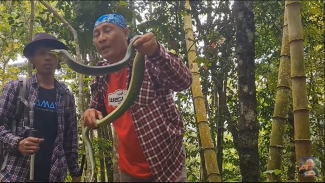 deretan tingkah si gundul yang viral di sosmed terbaru jualan cilok di mandalika