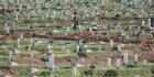 Lahan Pemakaman Khusus Covid-19 di TPU Rorotan Capai 25 Hektare
