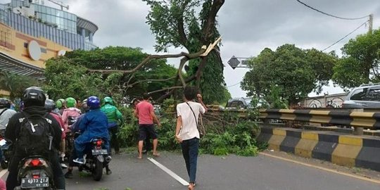 Sejumlah Pohon di Kota Depok Tumbang Disapu Angin Kencang