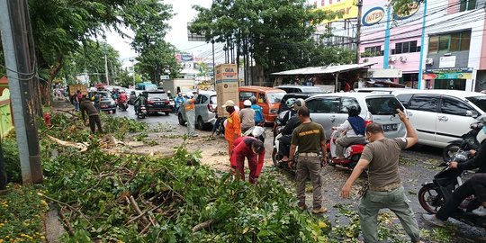 Sejumlah Pohon di Kota Bekasi Tumbang Diterjang Angin Kencang