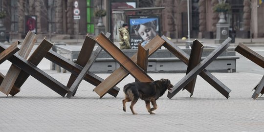 Barikade Anti-Tank Buatan Warga Ukraina Siap Halau Pasukan Rusia Masuk ke Kota Kyiv