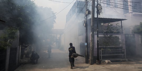 Ada 1.572 Kasus DBD di NTT, 13 Orang Meninggal Dunia