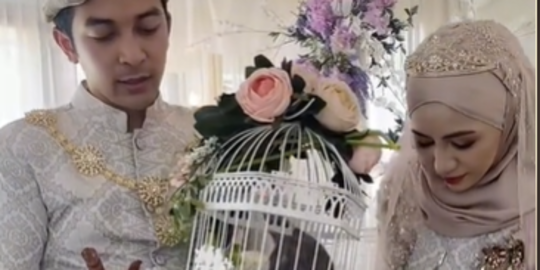 Curi Perhatian, Pria Ini Berikan Seekor Kucing BSH untuk Hantaran Pernikahannya