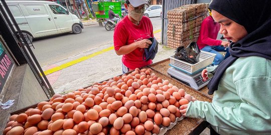 Harga Telur Kembali Naik