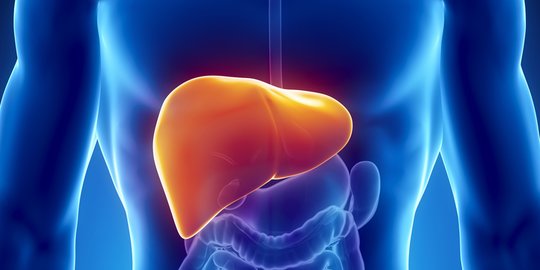 Gejala Penyakit Liver yang Patut Diwaspadai, Kenali Juga Penyebabnya