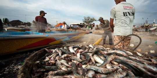 Minyak Goreng Langka, Dirjen KKP: Ikan Tanpa Digoreng Lebih Sehat