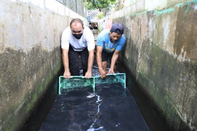 budidaya ikan di selokan kota tangerang