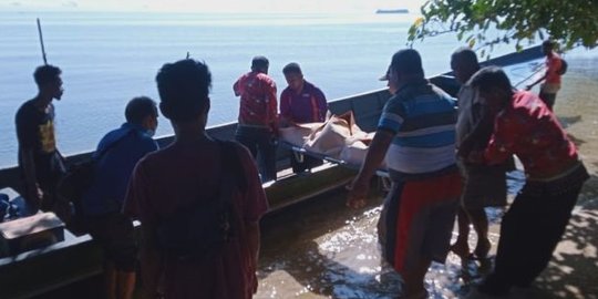 Pemerhati Ular Meninggal Digigit Ular Berbisa di Raja Ampat