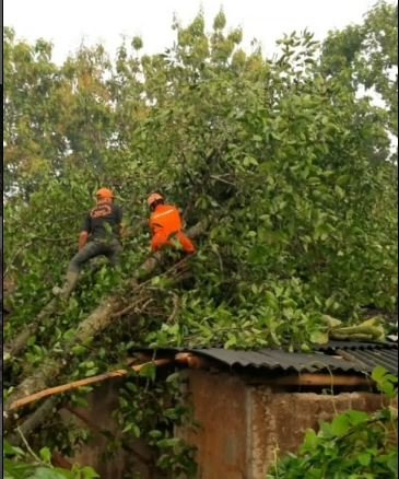 angin kencang di gunungkidul