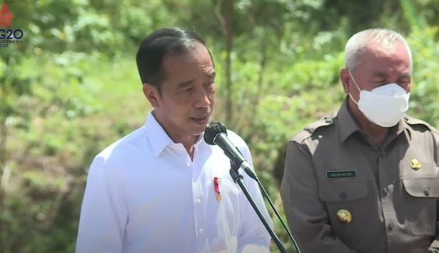 presiden jokowi dan ganjar pranowo di ikn