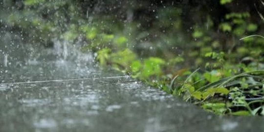 Hujan Deras di Garut Sebabkan Banjir Hingga Pohon Tumbang