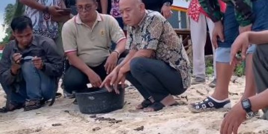 7 Keseruan Bupati Jepara di Karimun Jawa, dari 'Nanggap' Wayang hingga Main di Pantai