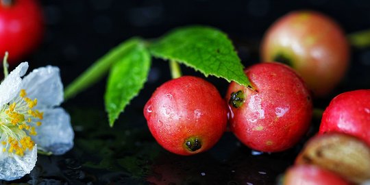 26 Manfaat Kersen untuk Kesehatan dan Kecantikan