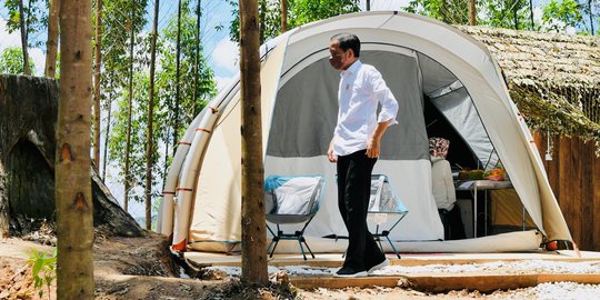 Mengupas Asal Muasal Tenda Kemah Jokowi di IKN