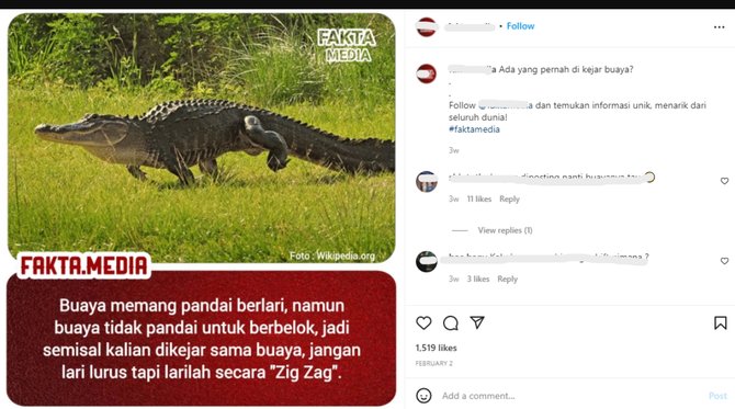 hoaks tentang buaya