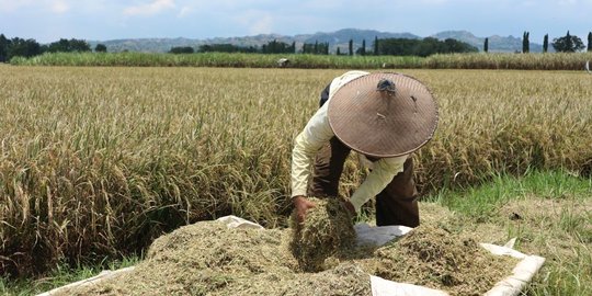 Dunia Terancam Krisis Pangan