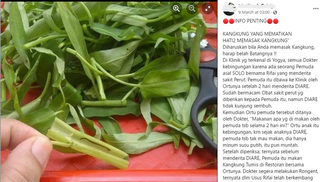 hoaks meninggal usai makan kangkung berisi lintah