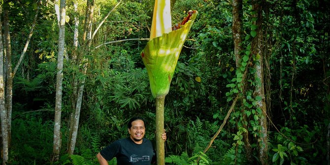 4 Jenis Bunga Bangkai Unik yang Bisa Ditemukan di Indonesia