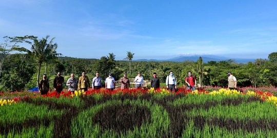 Referensi Wisata Alam Banyuwangi Populer untuk Berlibur