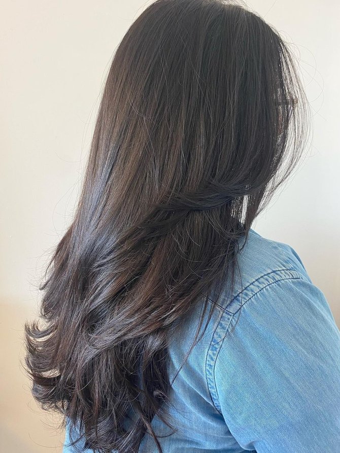 ilustrasi rambut diwarnai