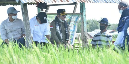 Terdampak Banjir, Kementan Sarankan Petani Cilacap Ikut Program AUTP