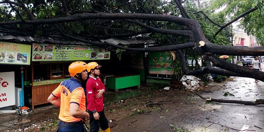 Hujan Deras Disertai Angin Kencang Tumbangkan Pohon di Bekasi