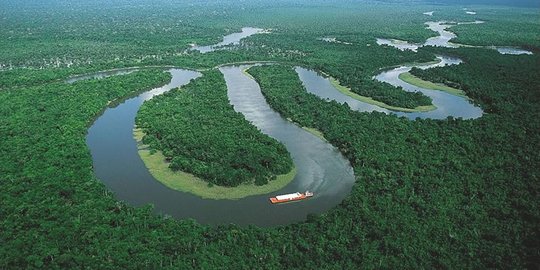 Dua Bocah Ini Terjebak di Hutan Amazon selama 4 Pekan, Ini Cara Mereka Bertahan Hidup