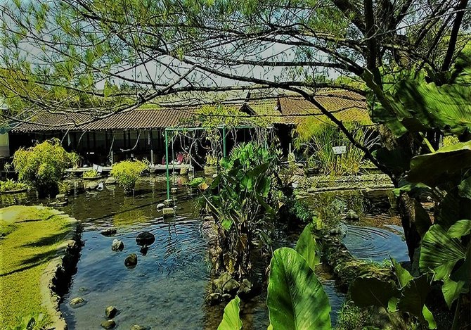wisata boyolali instagramable