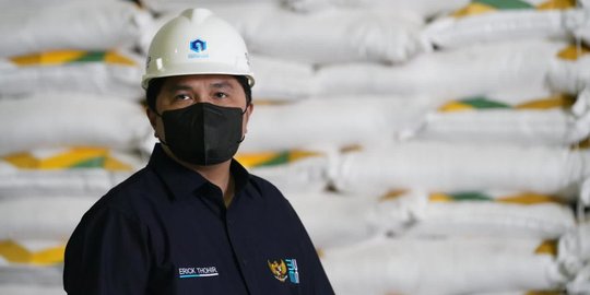 Menteri Erick Diminta Beri Perhatian pada Aspek Citra Holding BUMN