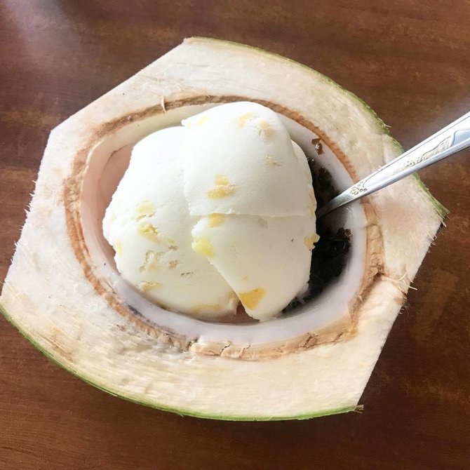 cara membuat es krim sendiri