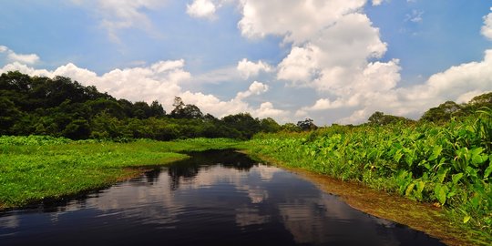 Uniknya Rawa Dano di Serang, Satu-satunya Rawa di Jawa yang Ada di Dataran Tinggi