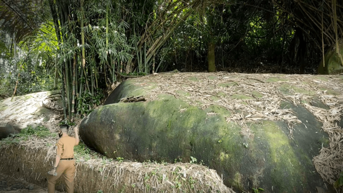 bambu tumbuh di atas batu di sindangkerta majalengka