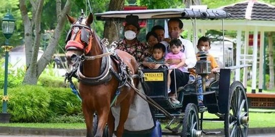 Potret Keseruan Jokowi Naik Delman dengan Cucunya, Sandal Dipakai Bikin Salfok