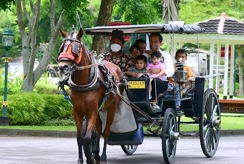 momen kebersamaan presiden dan cucu