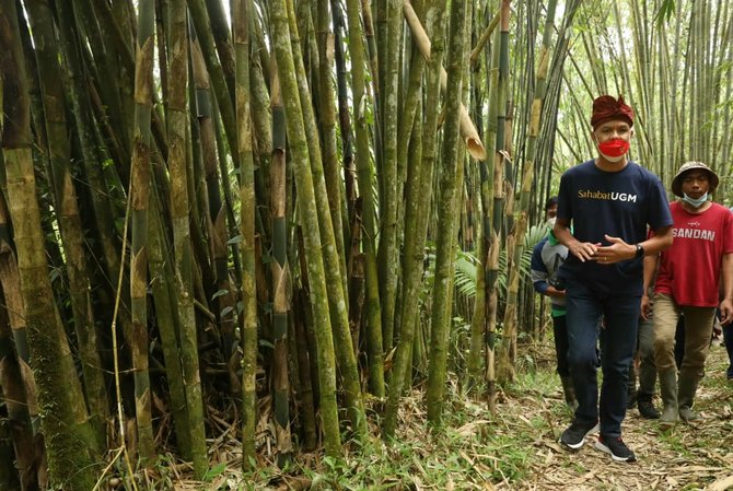 ganjar pranowo di hutan bambu bali