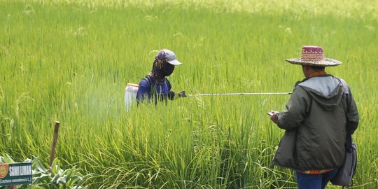 Pamit ke Sawah tapi Tak Pulang hingga Dua Pekan, Begini Nasib Pria di Lamongan Ini